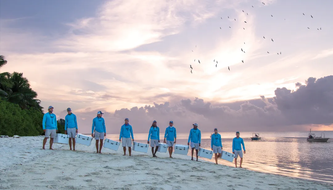 Alphonse Island arrival and tropical runway