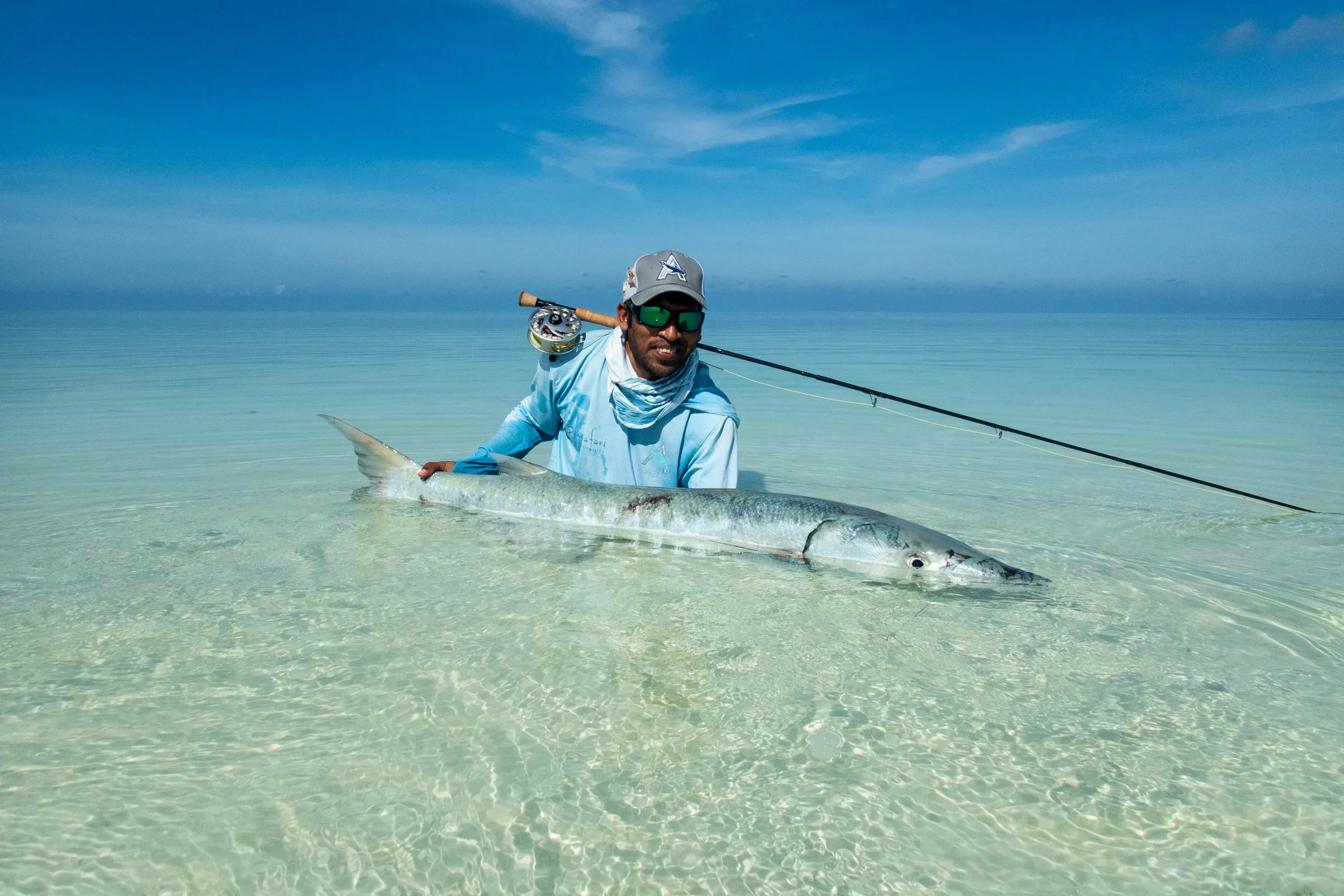 Barracuda caught around the Alphonse flats