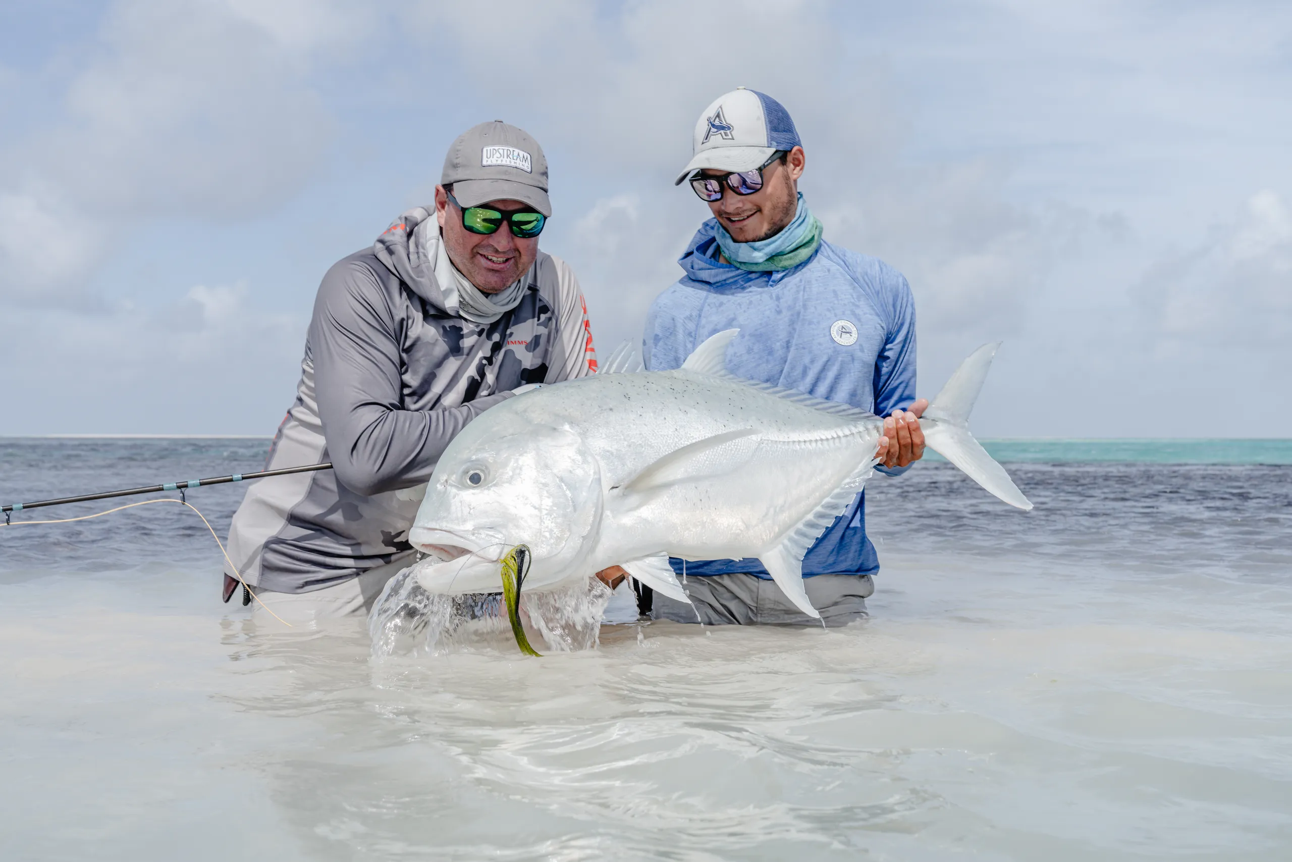Giant trevally from the Alphonse flats